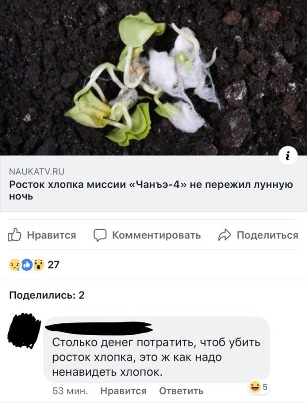 Нестандартный юмор