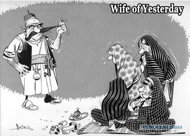 Эволюция жены