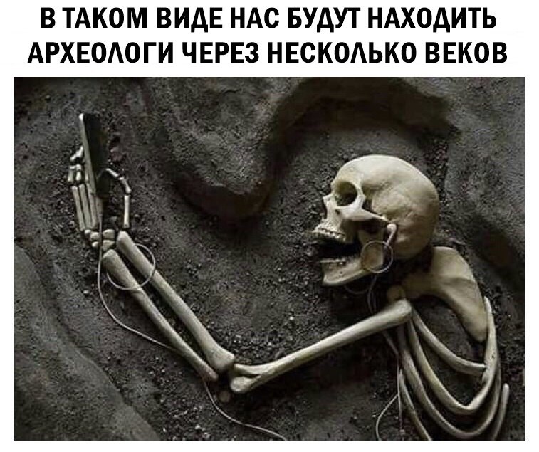 12936348.jpg