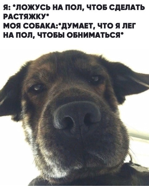 Немного картинок для настроения