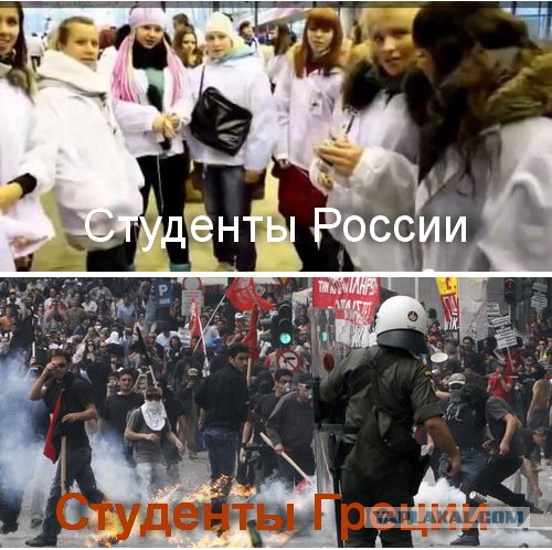 Нашисты запутались за кого голосовать!