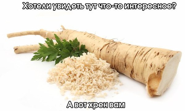 Когда форумчанин...