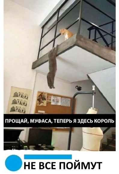 Чуток картинок! 22.12.19