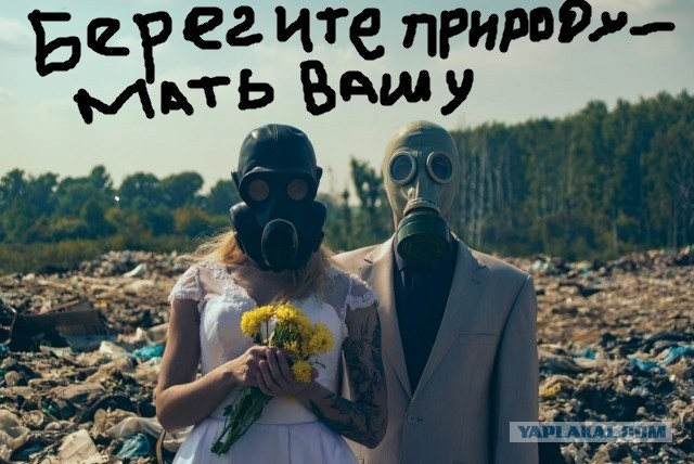 Ужасный перегар свадебного фотографа