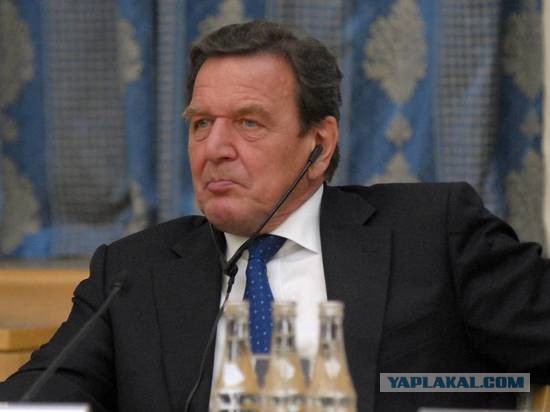 Шрёдер назвал "карликом" захотевшего Крым посла Украины