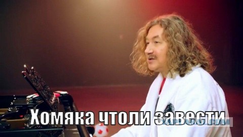 Хомяк сбежал из клетки, а затем взобрался на стену как Человек-паук. И растяжка не хуже, чем у Ван Дамма