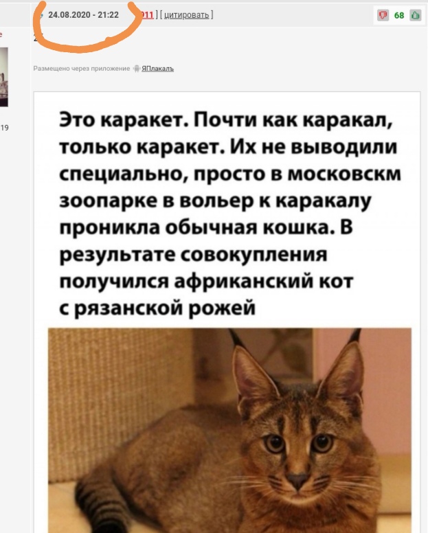 Бредзона 25.08.2020