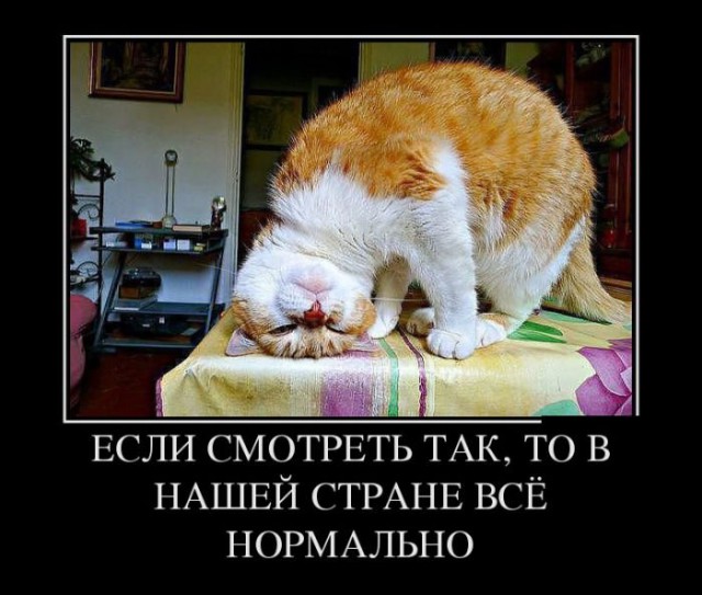Картинки разные 08.10.2020
