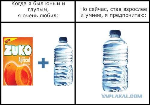 Фотожаба: Когда я был юным и глупым