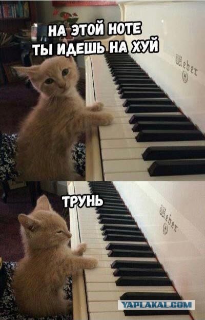 Почему среди мужчин так много мудаков?