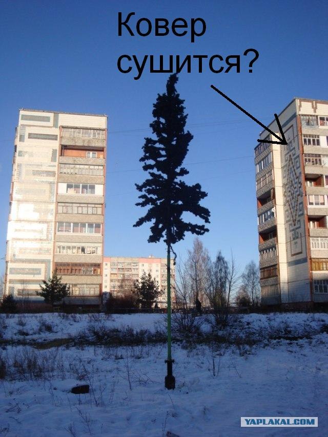 У нас в городе поставили ЙОЛКУ