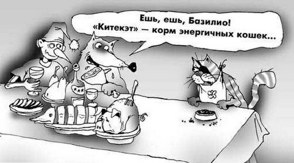 С котопятницей! Улыбнемся?