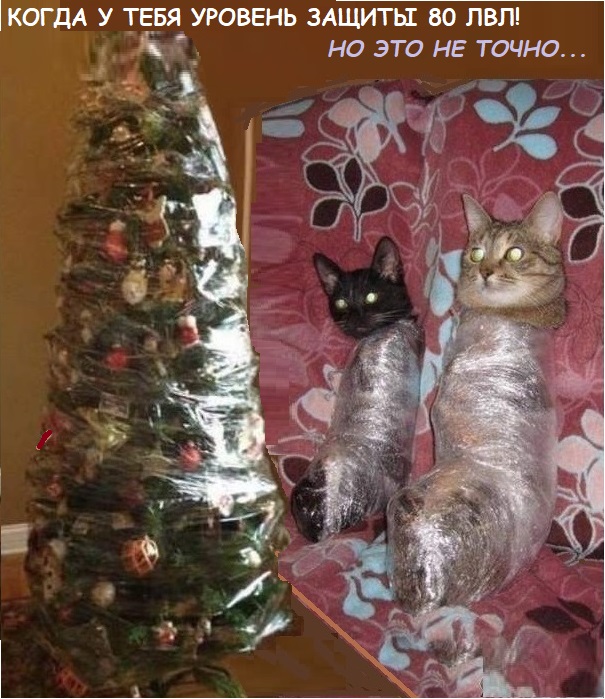 Коты они такие