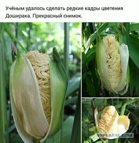 Бредзона 10.02.21
