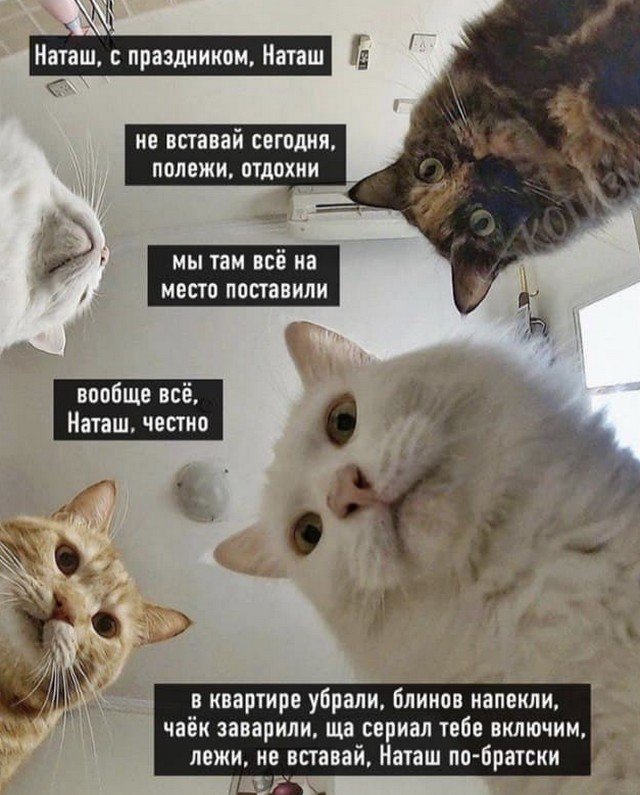 Мадам и месье, снова бонжур