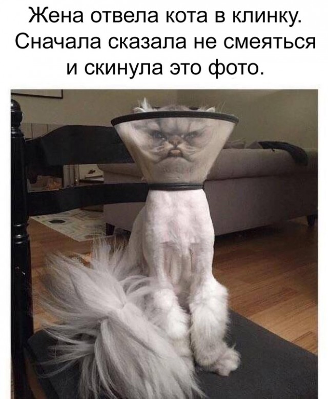 Картинки и мемы для настроения 13.04.2021