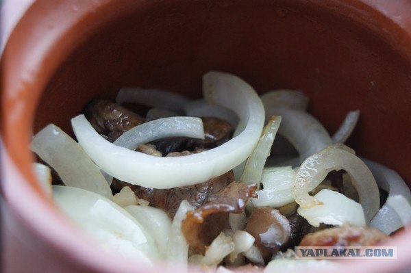 Телятина с подберезовиками)))