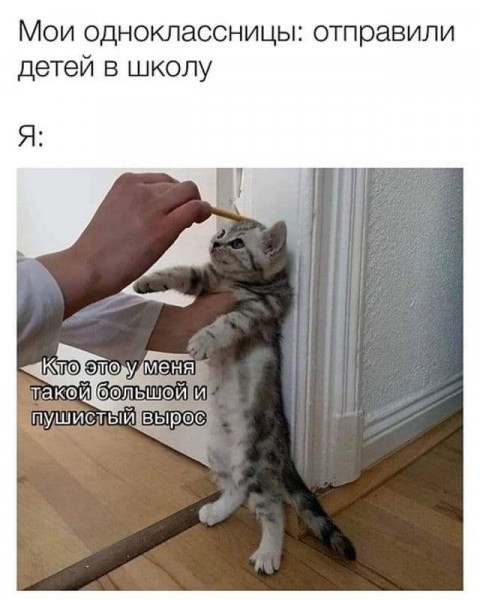 Весёлый полтишок 26.09