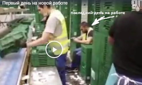 Первый день на новой работе