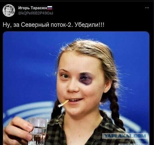 А не врёт ли Грета Тунберг?