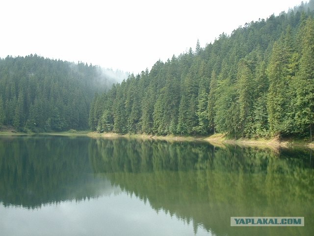 Карпаты, Закарпатье.
