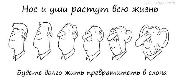 Баянисто-небаянистый юмор 6.12.21