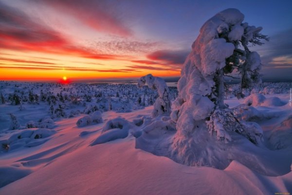 Прикольные и просто красивые картинки 31.01.2022