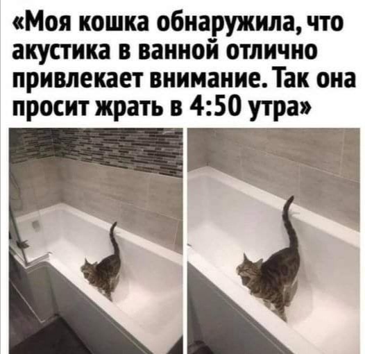Чуток картинок 20.02.22