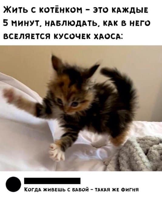 Так себе картинки 19.04.22