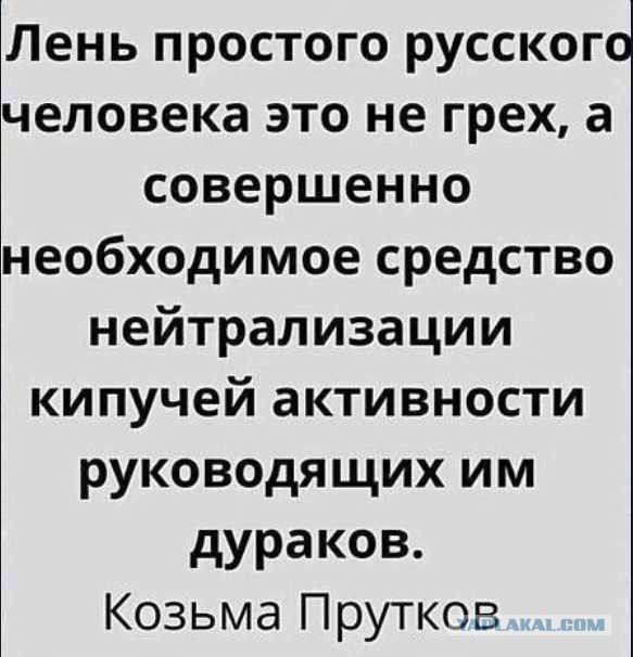 Всякой Хни вам в ленту, дорогие деграданты...