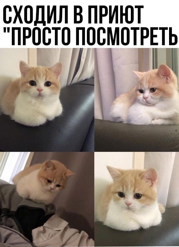 Так себе картинки 23.04.22