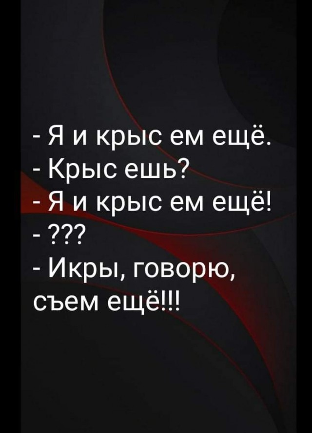 Забавные шутки, фразы, картинки из этих ваших интернетов