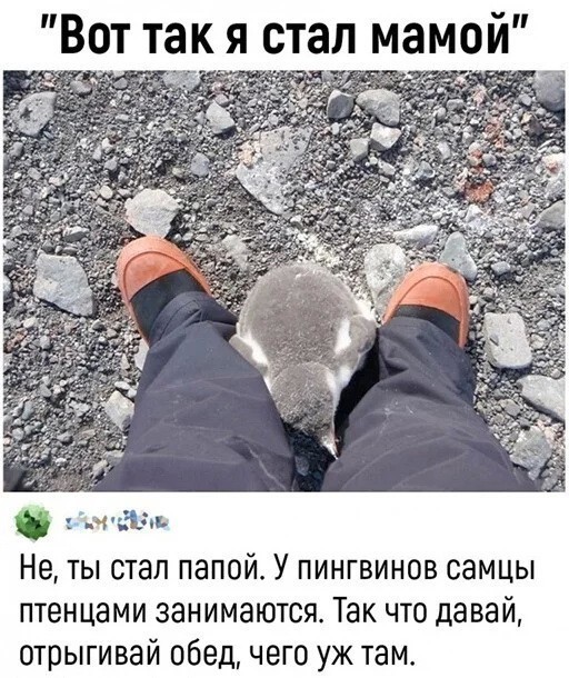 Скриншоты и комментарии из социальных сетей 17.08.22