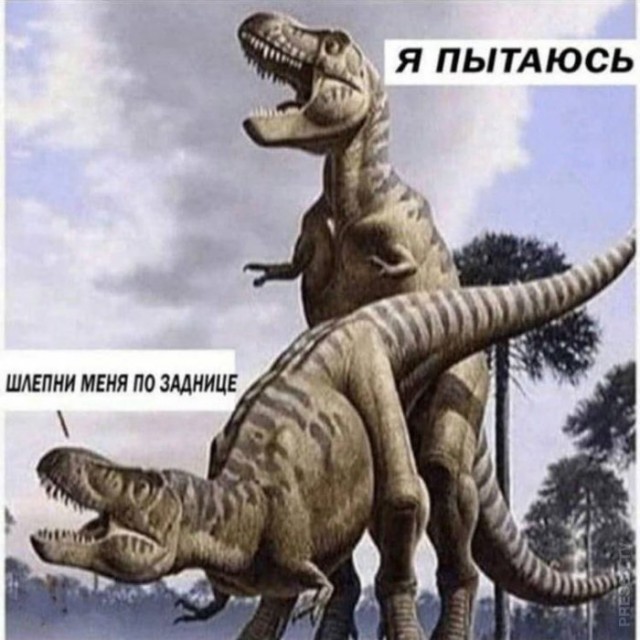 Картинки и мемы для настроения - 119