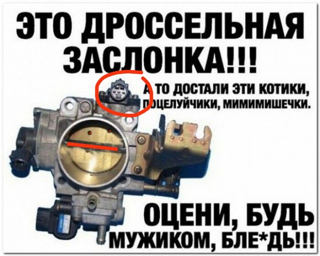 На злобу дня