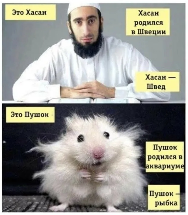 Депутат парламента Франции посоветовал коллеге «возвращаться обратно в Африку»