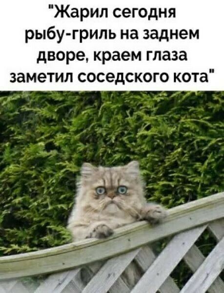 Юмор в картинках и без