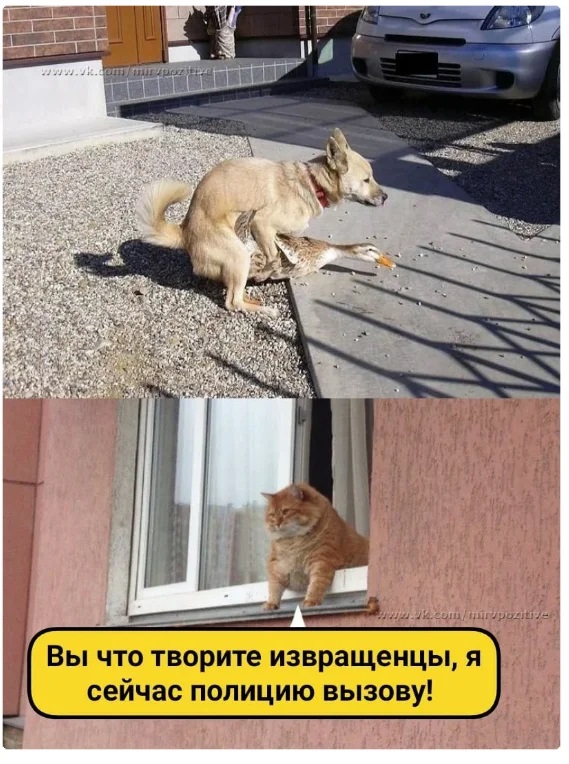 Иногда они возвращаются или не верь бывшим