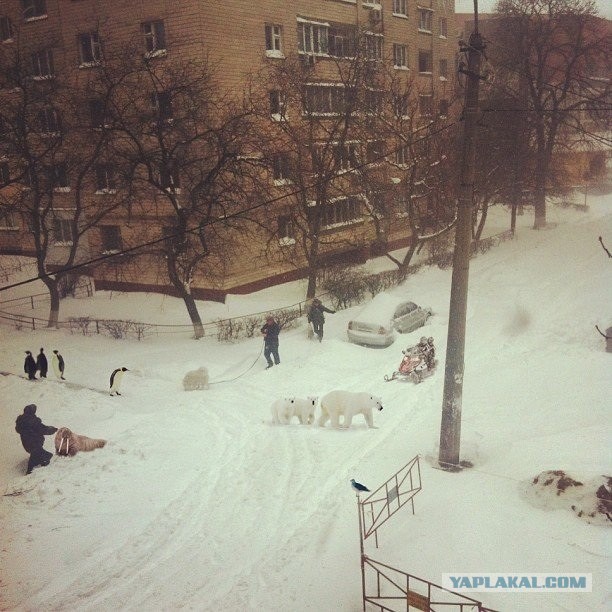 23 марта. Киев. Весна.