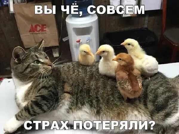 Так себе картинки 27.04.23
