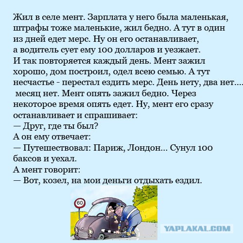 В Госдуме предложили ввести уголовное наказание за порчу клумб или сорванную сирень