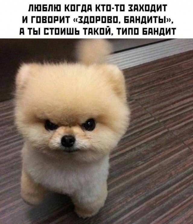 Десятая подборка самых баянистых баянов! Ностальгируем...