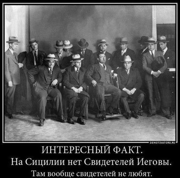 Хозяйство у жениха маленькое, жену не найдет!