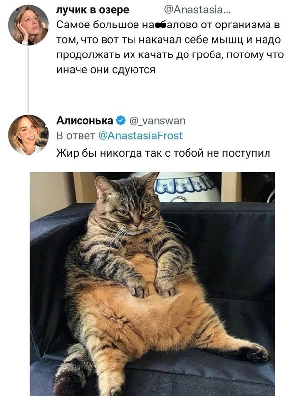 Весёлый полтишок 04.06.24