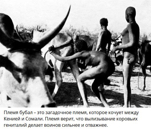 Интересные и редкие ретро-фотографии 22.07.24