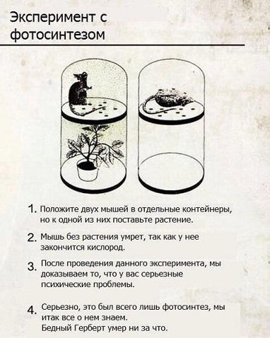 Это поможет?