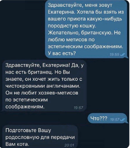 Так себе картинки 09.02.25
