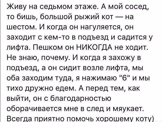 Так себе картинки 03.03.25