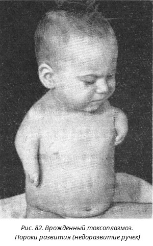 Живодёр получил по заслугам