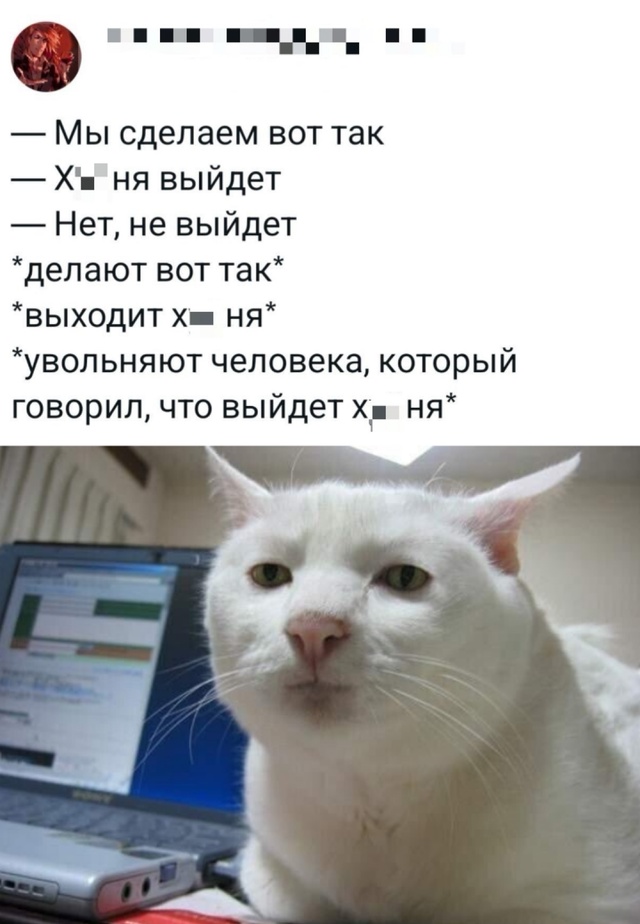 Весёлый полтишок 04.06.2025